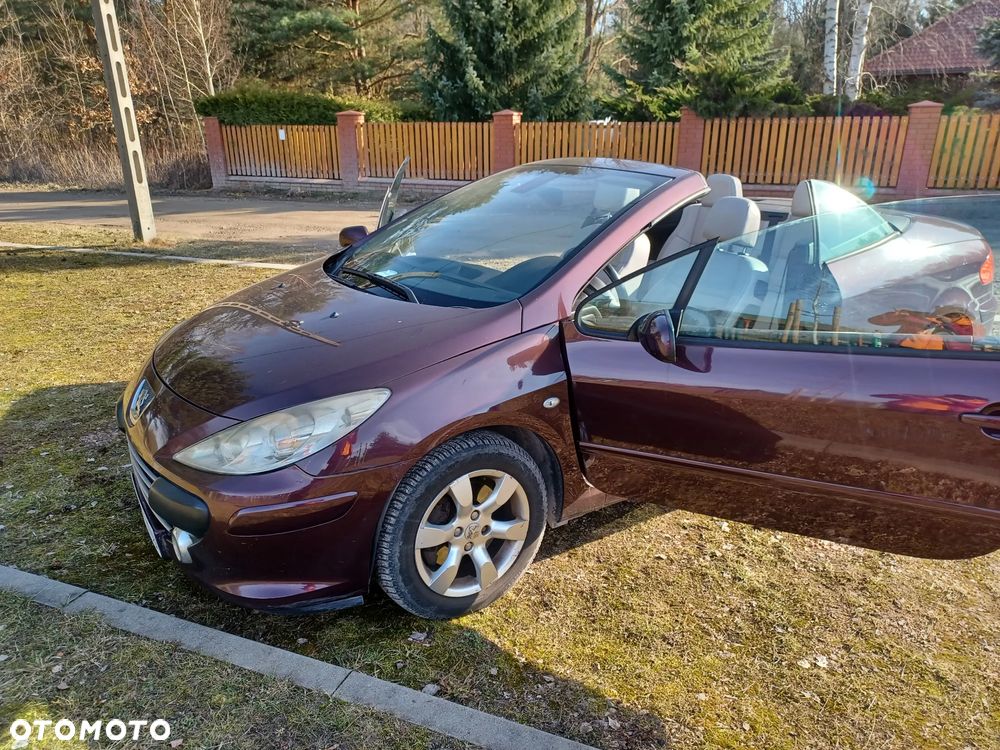 Peugeot 307 CC - 11