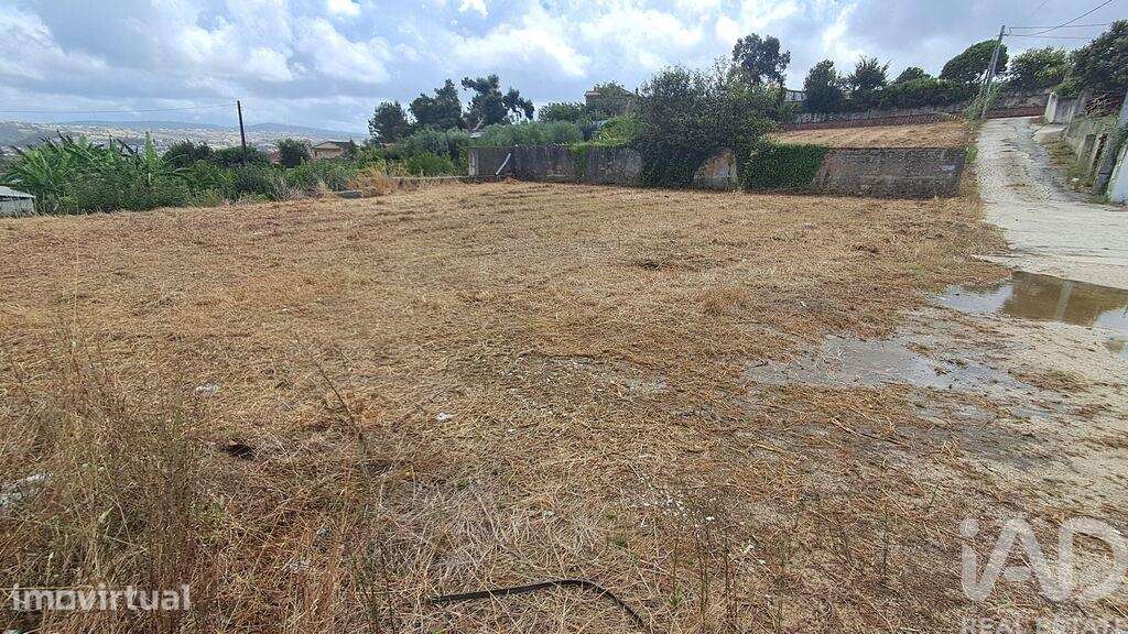 Terreno em Parceiros e Azoia - Grande imagem: 4/13