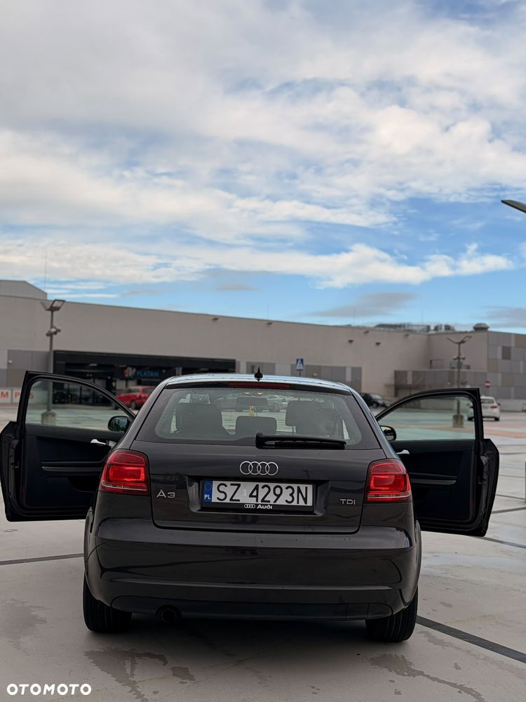 Audi A3 3-drzwiowe 1.6 TDI DPF Ambiente - 11