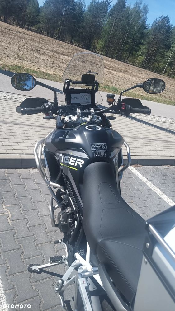 Triumph Tiger - 13
