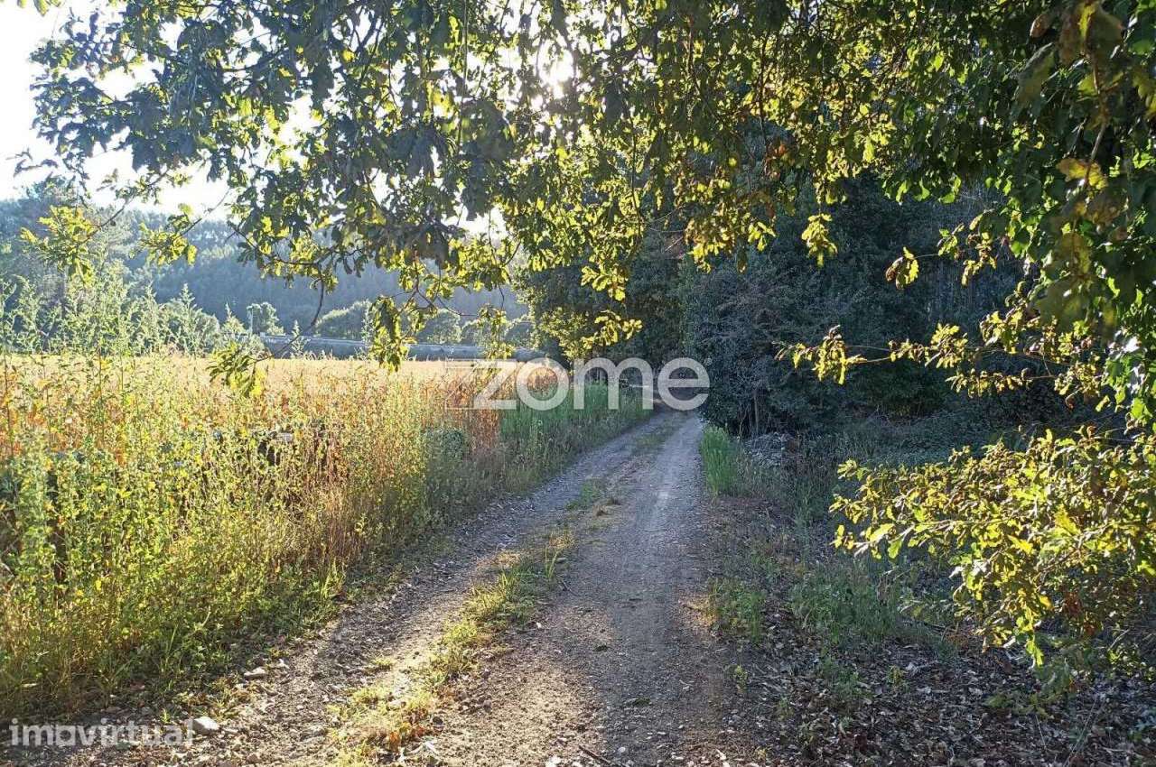 Terreno com 20.655m2 e Ruína com 452m2 em Covelas - Trofa - Grande imagem: 5/22