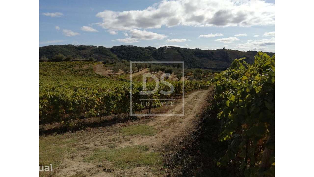 Quinta da Cumeira - Grande imagem: 5/53