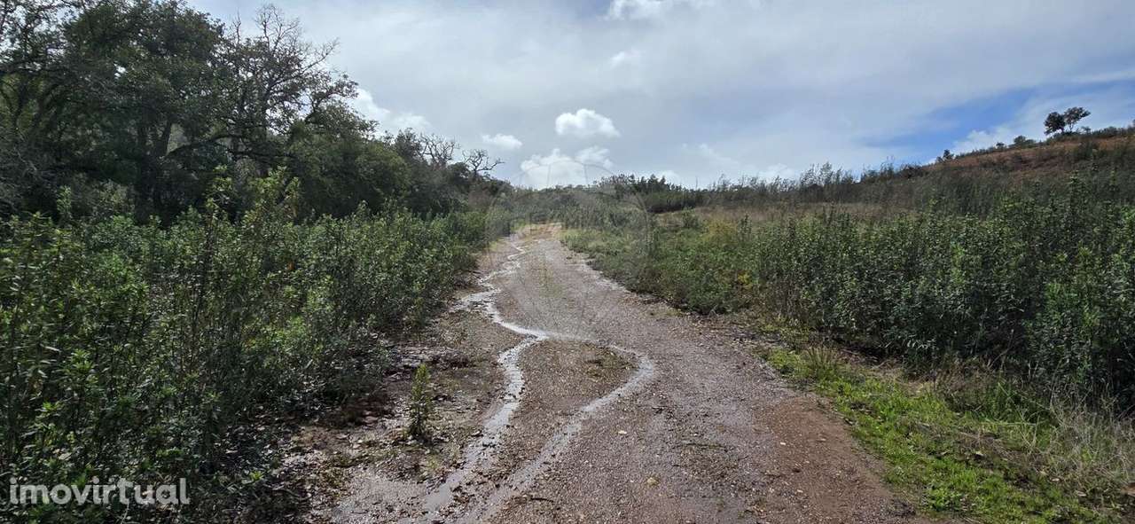 Terreno  para venda - Grande imagem: 2/38