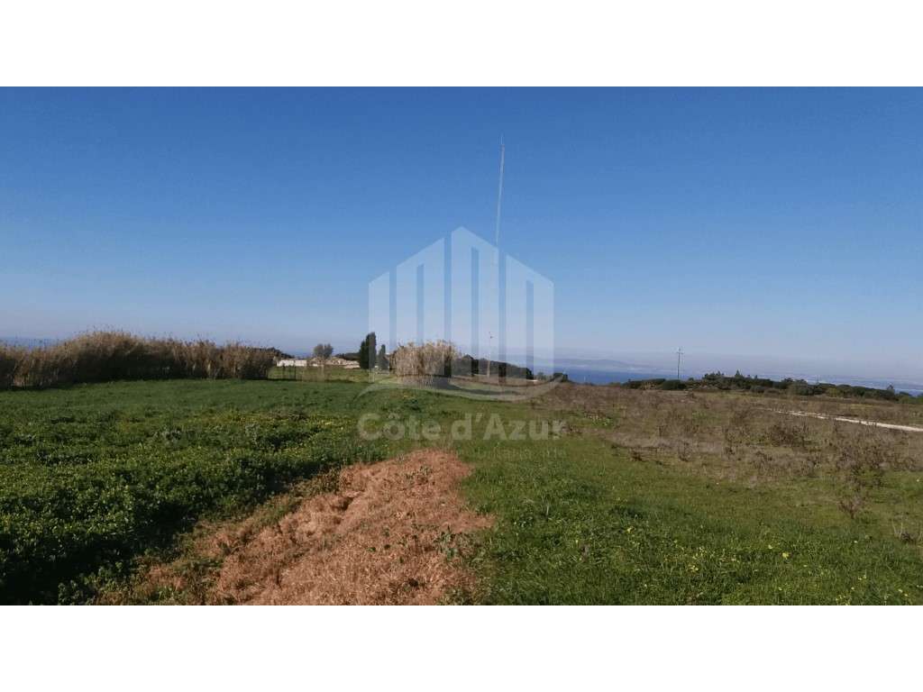Lote de terreno para construção - Grande imagem: 3/3