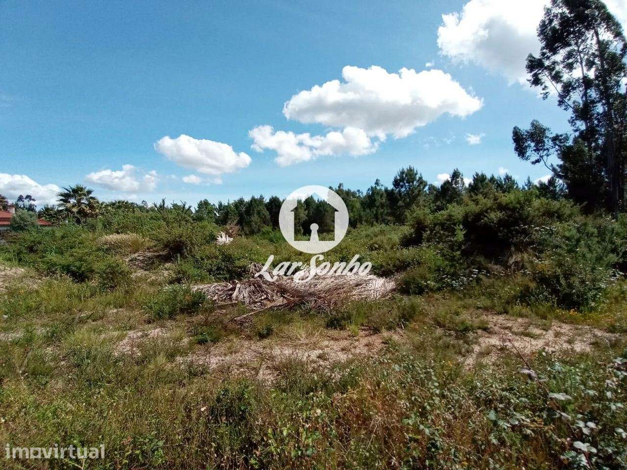 Terreno industrial para construção - Grande imagem: 5/22