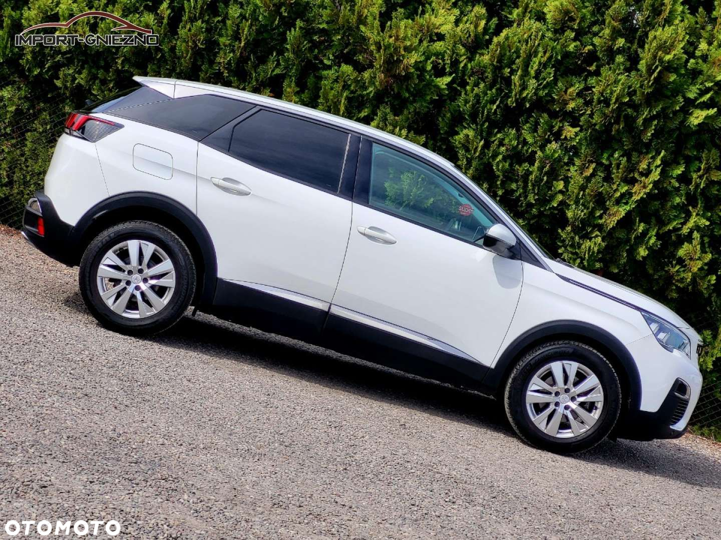 Peugeot 3008 - 22