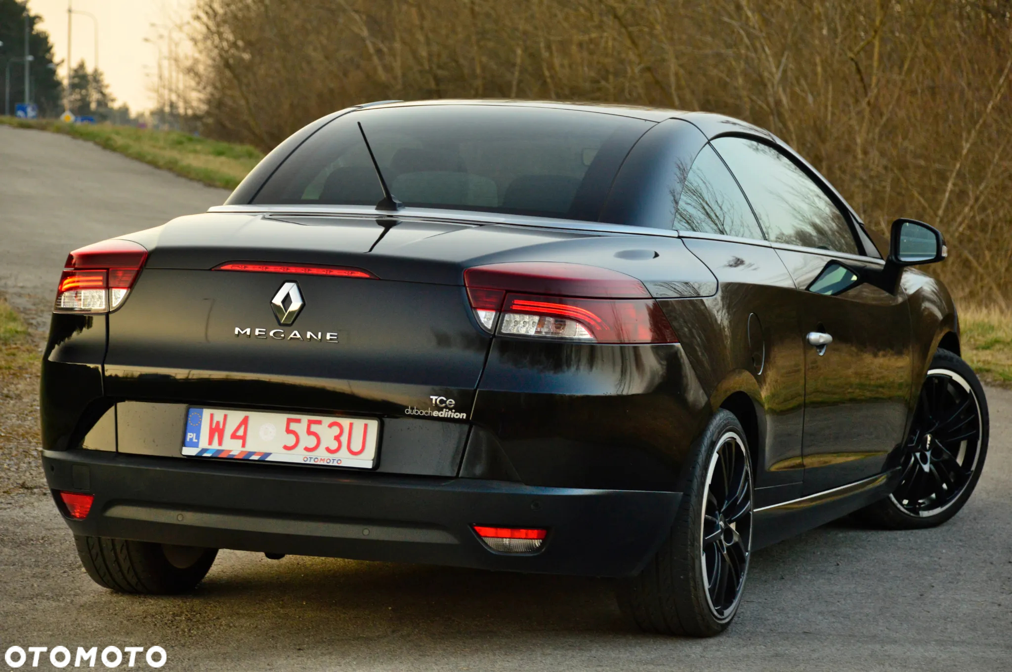 Renault Megane 1.3 TCe FAP Limited - 23