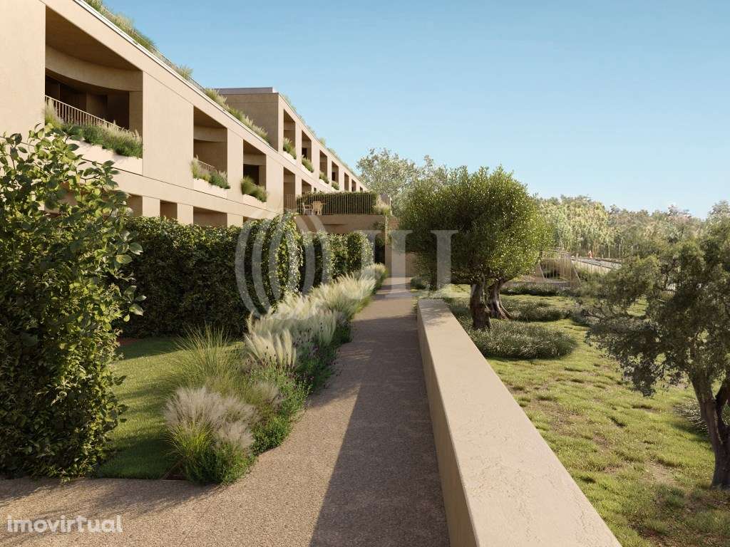 Olive Green Residences - Grande imagem: 5/34