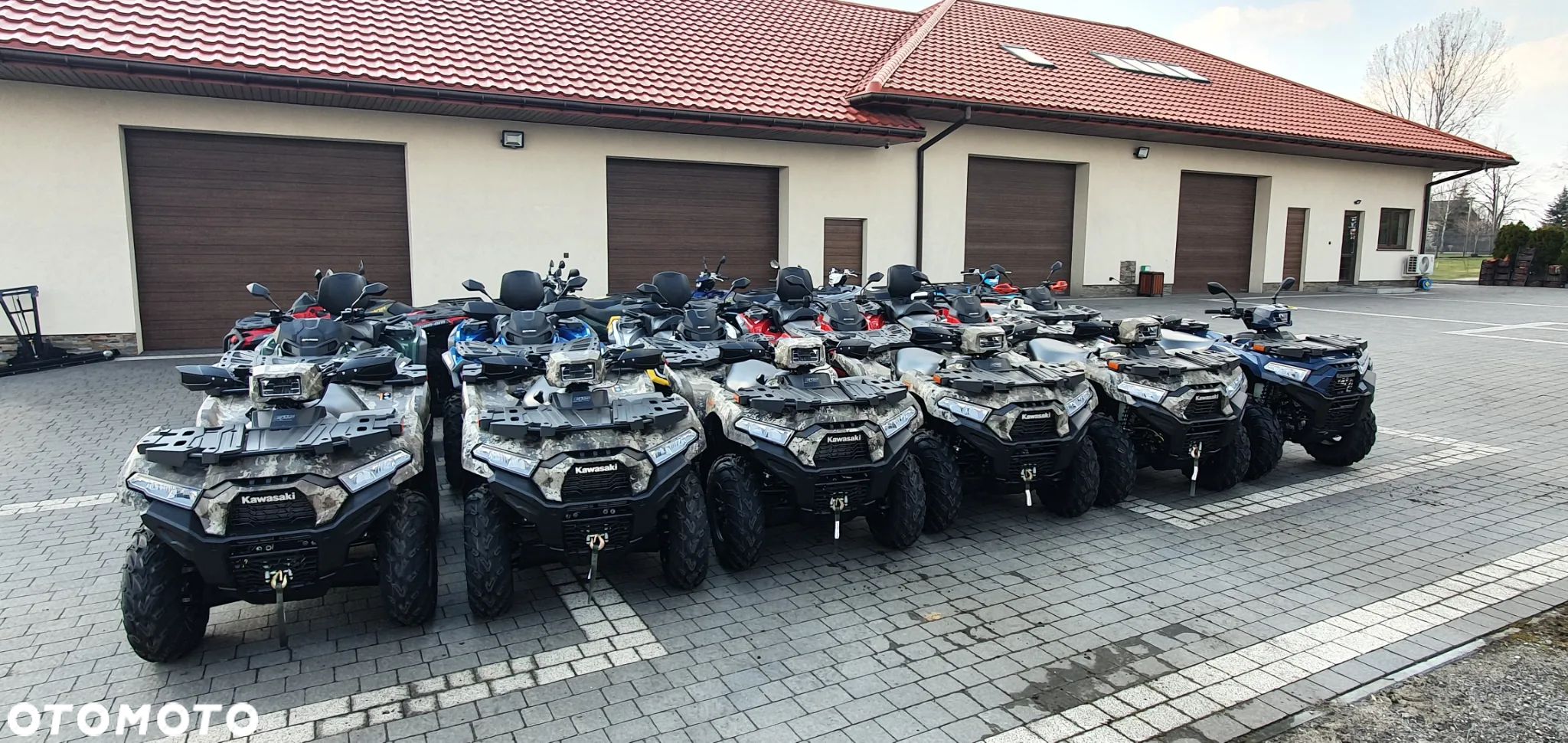 Kawasaki Brute Force