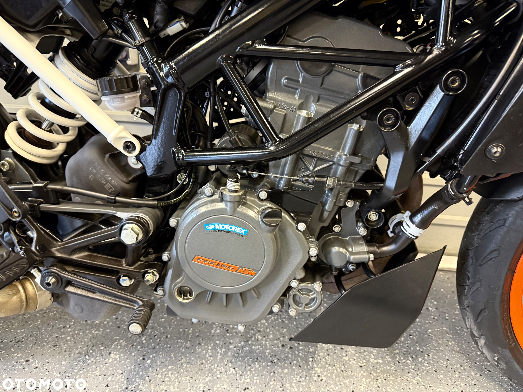 KTM Duke - 7