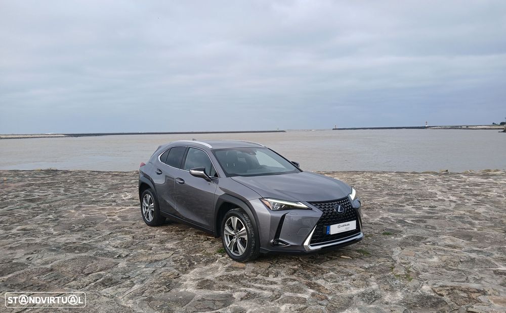 Lexus UX 300e Luxury - 9