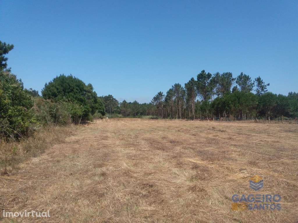 Terreno, em Tornada - Grande imagem: 4/7