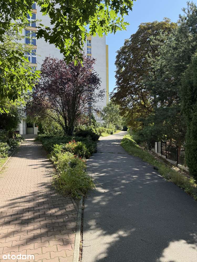 Widokowe 2 pokoje | wysokiej klasy sprzęty | parking 2 miejsca w cenie