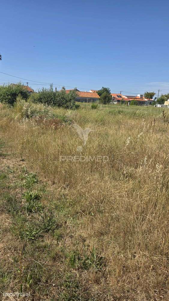 Terreno em Aljubarrota para comprar - Grande imagem: 3/6