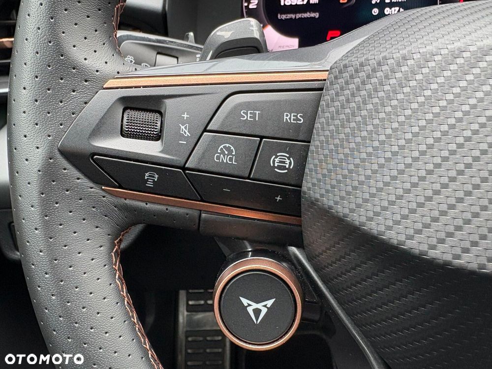 Cupra Terramar 2.0 TSI 4Drive DSG - 26