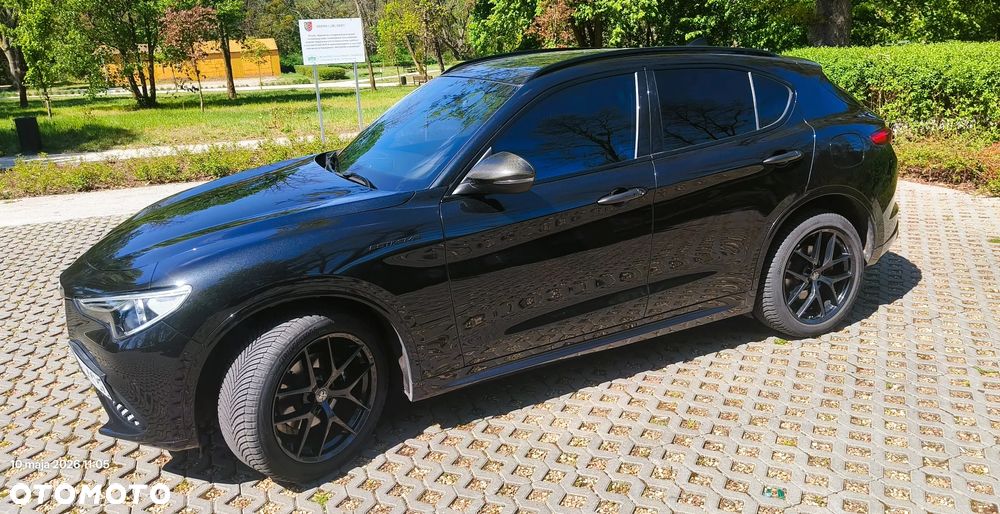 Alfa Romeo Stelvio 2.0 Turbo 16V AT8-Q4 Estrema - 14