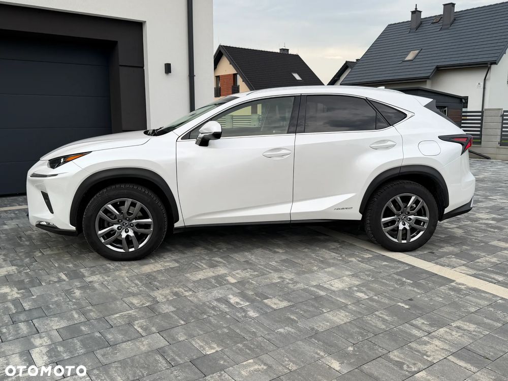 Lexus NX 300h Business Edition AWD - 12