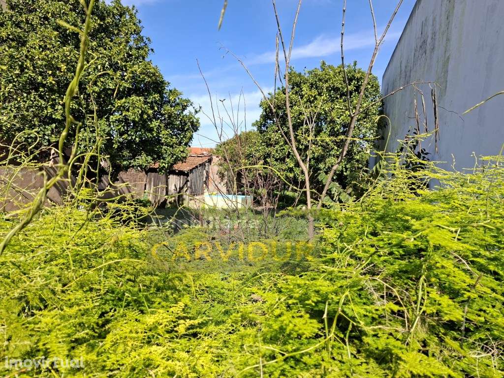 Lote 295m2 para construir moradia perto de Lisboa | Moita - Grande imagem: 4/19