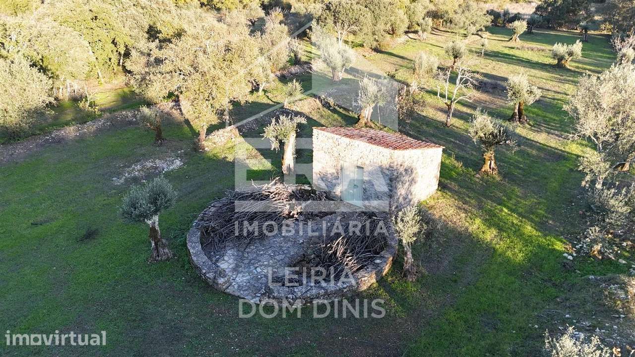 Moradia T3 isolada com grande terreno em Ferreira do Zêzere - Grande imagem: 3/13