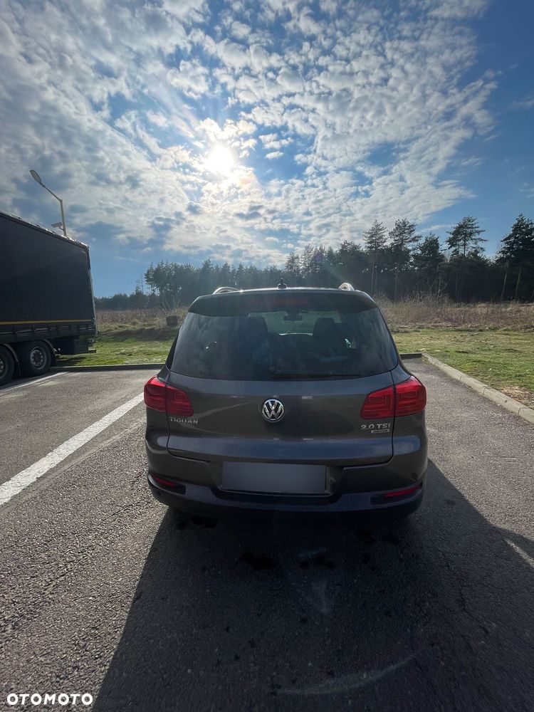 Volkswagen Tiguan - 30
