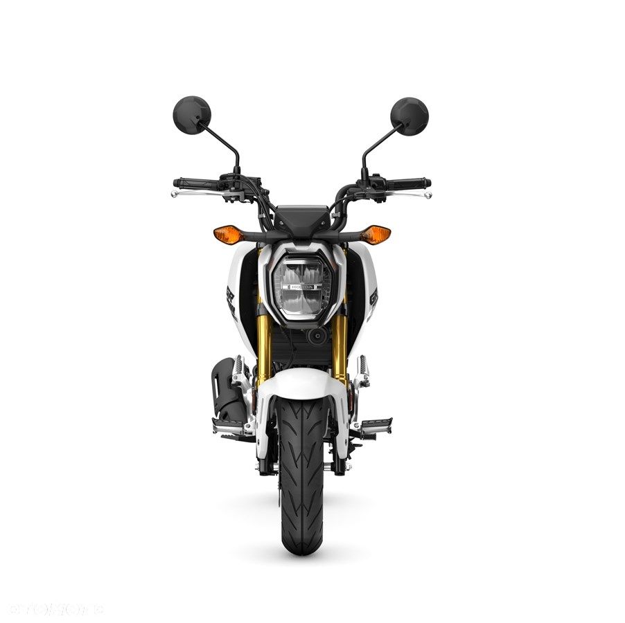 Honda MSX 125 - 5