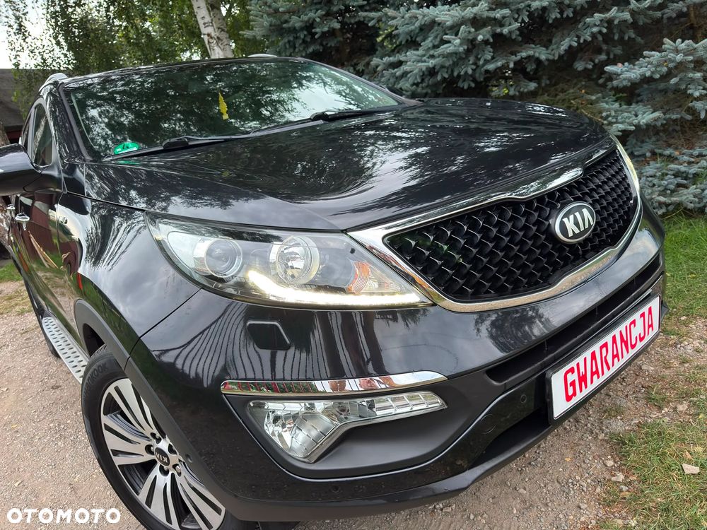 Kia Sportage - 28