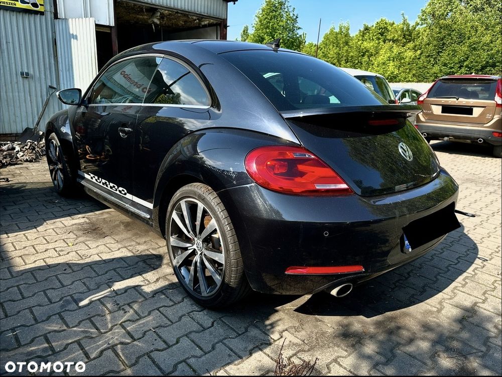 Volkswagen Beetle - 5