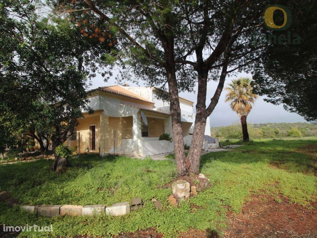 Extraordinária quinta em Santa Bárbara de Nexe com 10.000 m2 - Grande imagem: 2/4