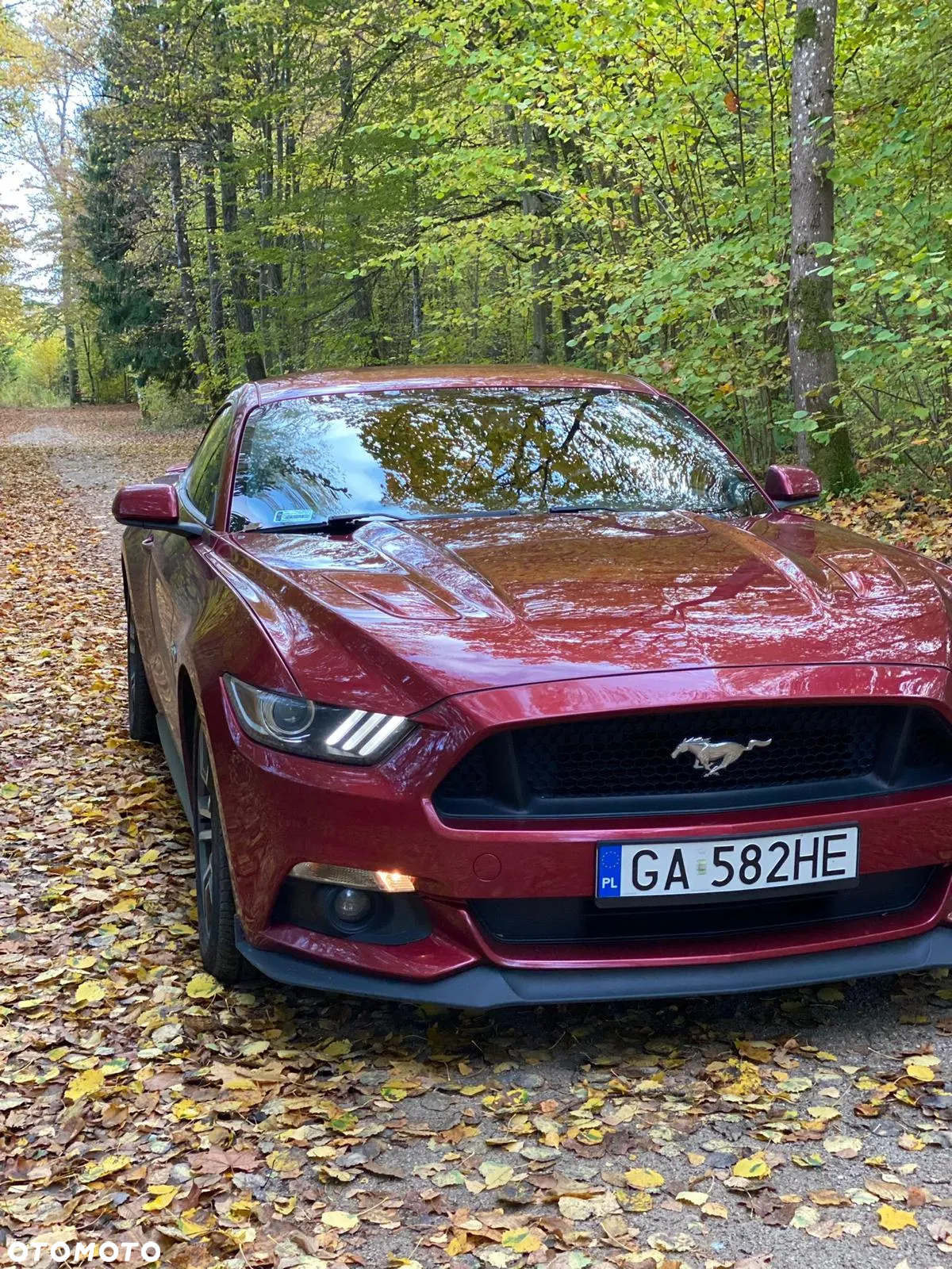 Ford Mustang 5.0 Ti-VCT V8 GT - 6