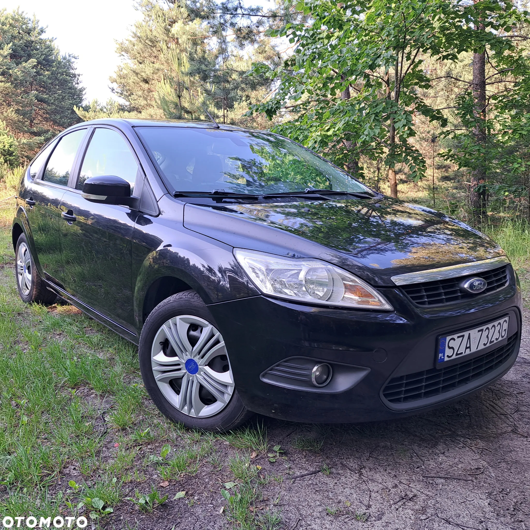 Ford Focus - 2
