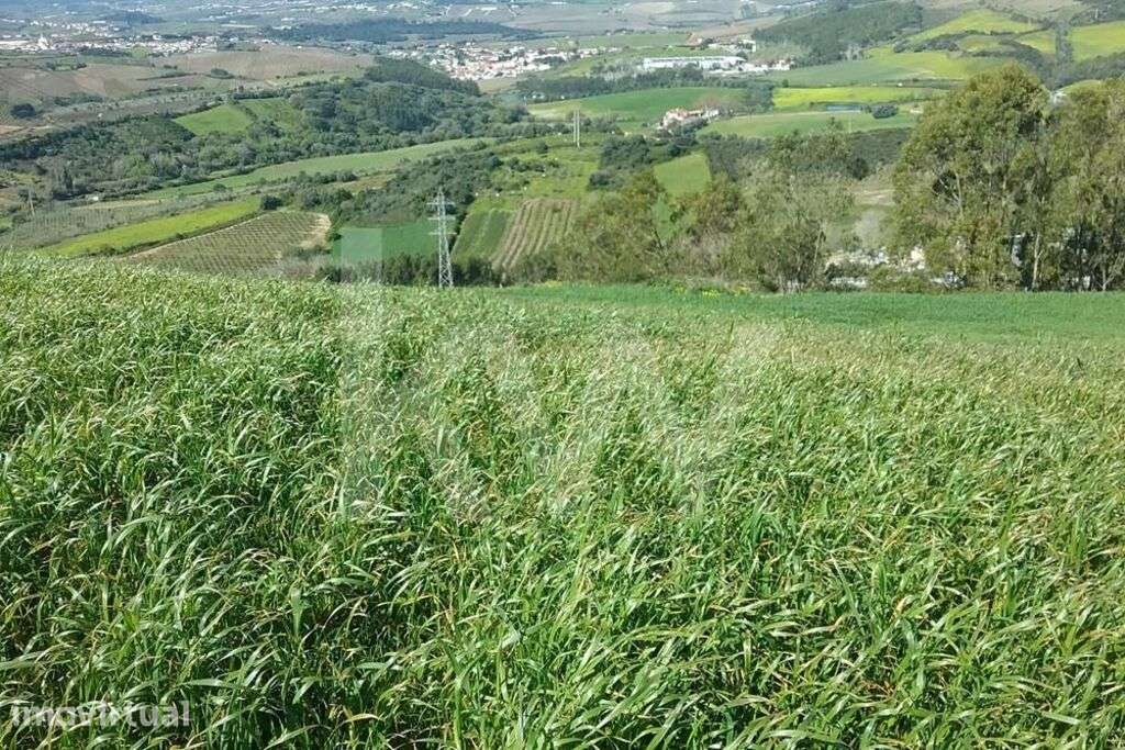 Terreno com 3560m2 na zona de Torres Vedras - Grande imagem: 3/15