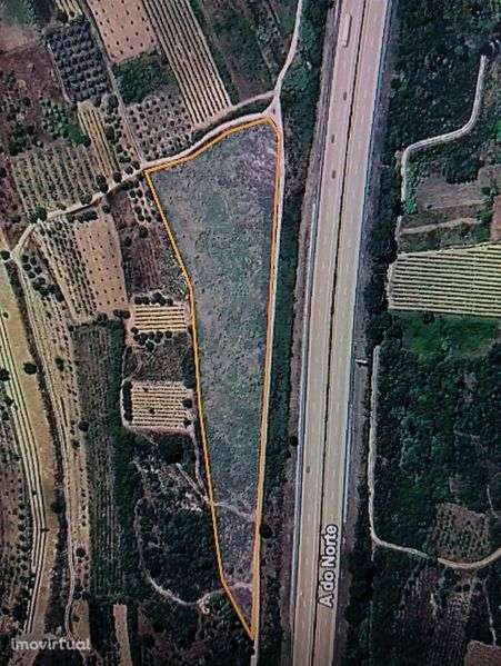 Terreno rústico - vinha Bairrada - Grande imagem: 2/3