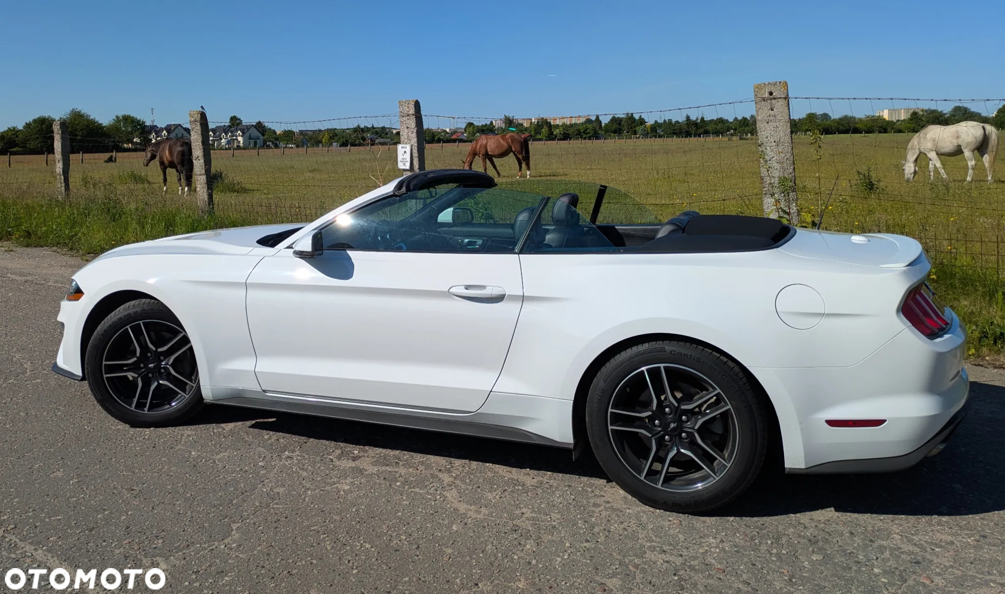 Ford Mustang 2.3 EcoBoost - 35