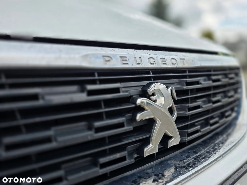 Peugeot 308 1.5 BlueHDi Active S&S - 20
