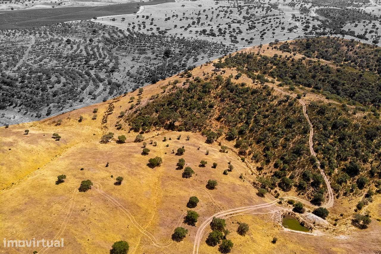 HERDADE COM 40 HECTARES NO CORAÇÃO DO ALENTEJO | AGUA SALGADA/ALCARIA - Grande imagem: 4/10