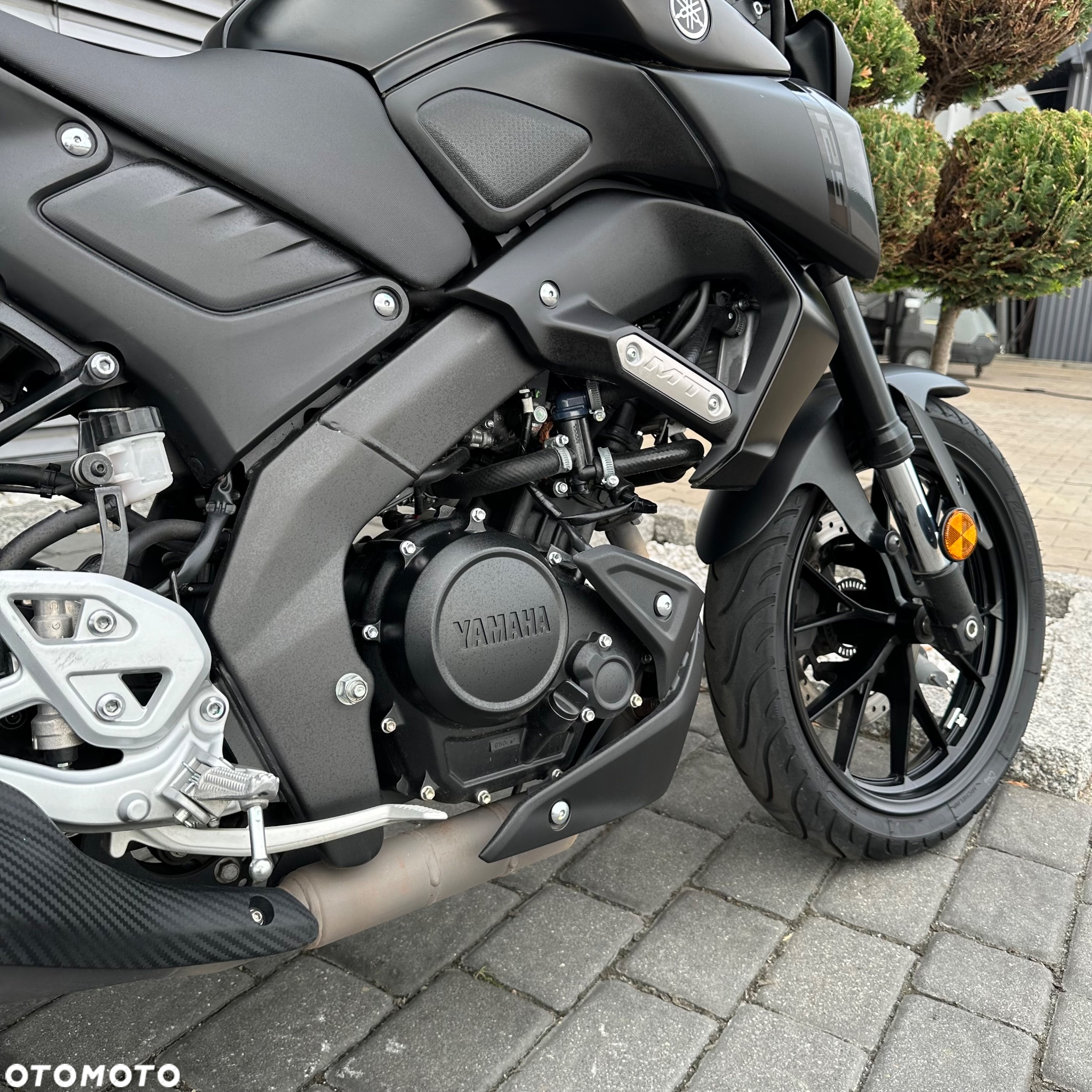 Yamaha MT - 6