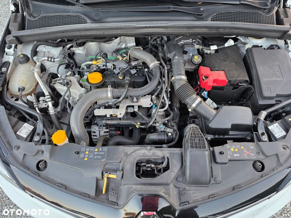 Renault Clio - 14