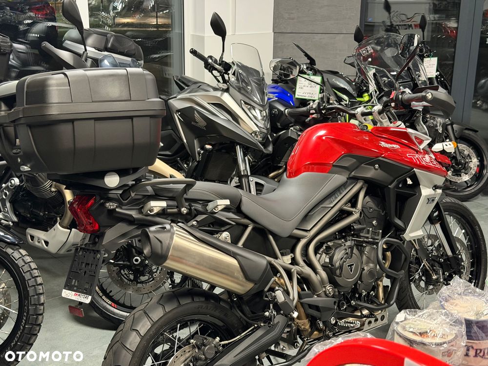 Triumph Tiger - 5
