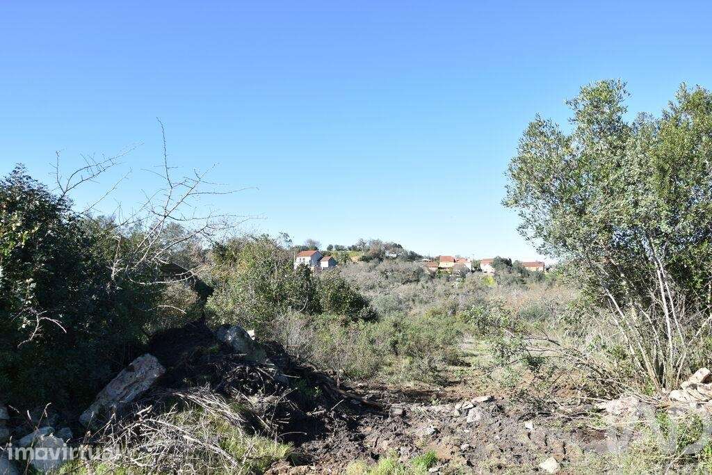Terreno em Chãos de 2160,00 m2 - Grande imagem: 4/22