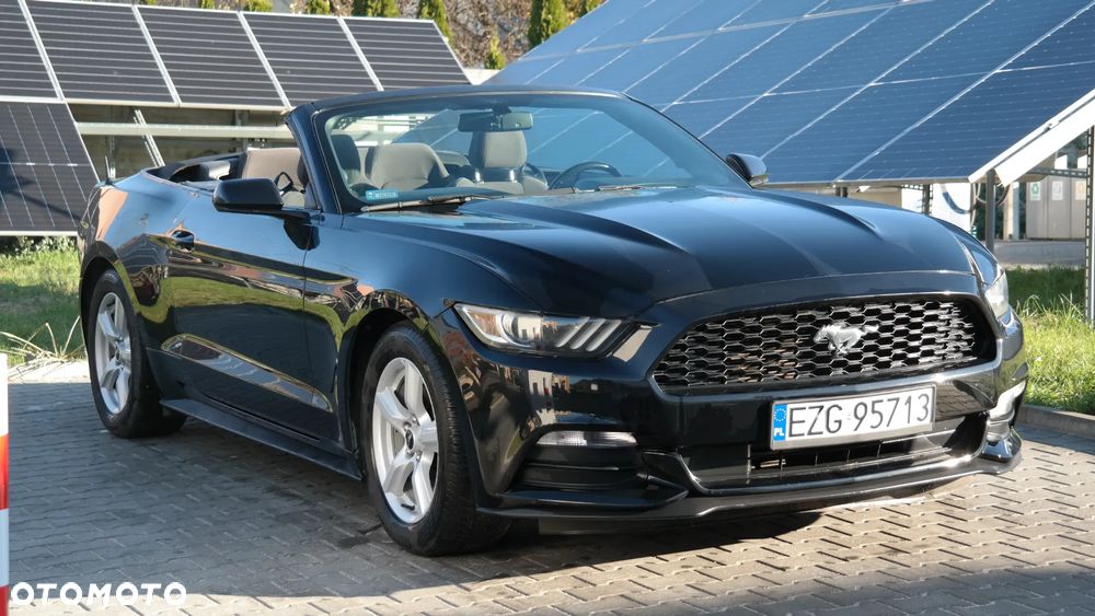 Ford Mustang 3.7 V6 - 18