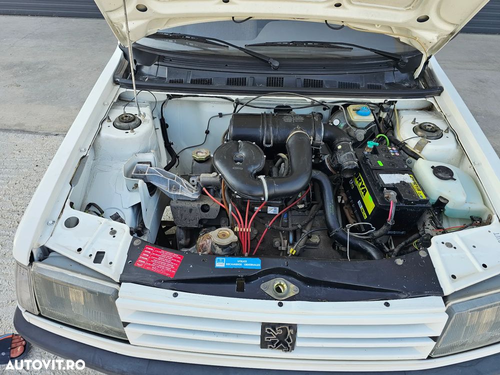 Peugeot 309 - 15
