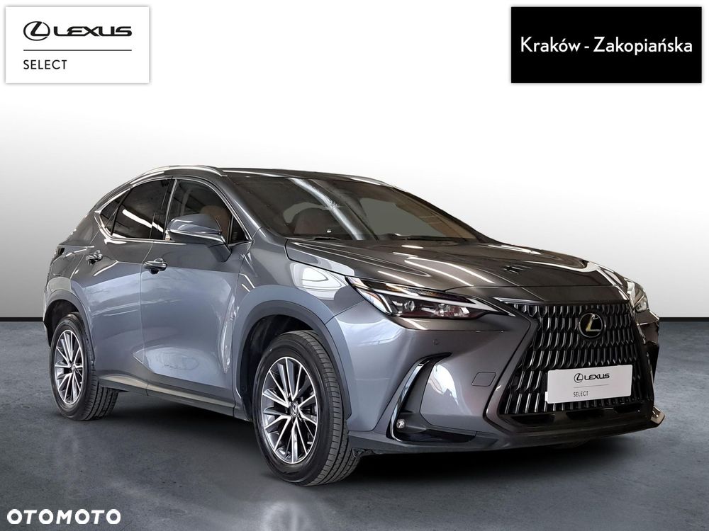 Lexus NX - 8