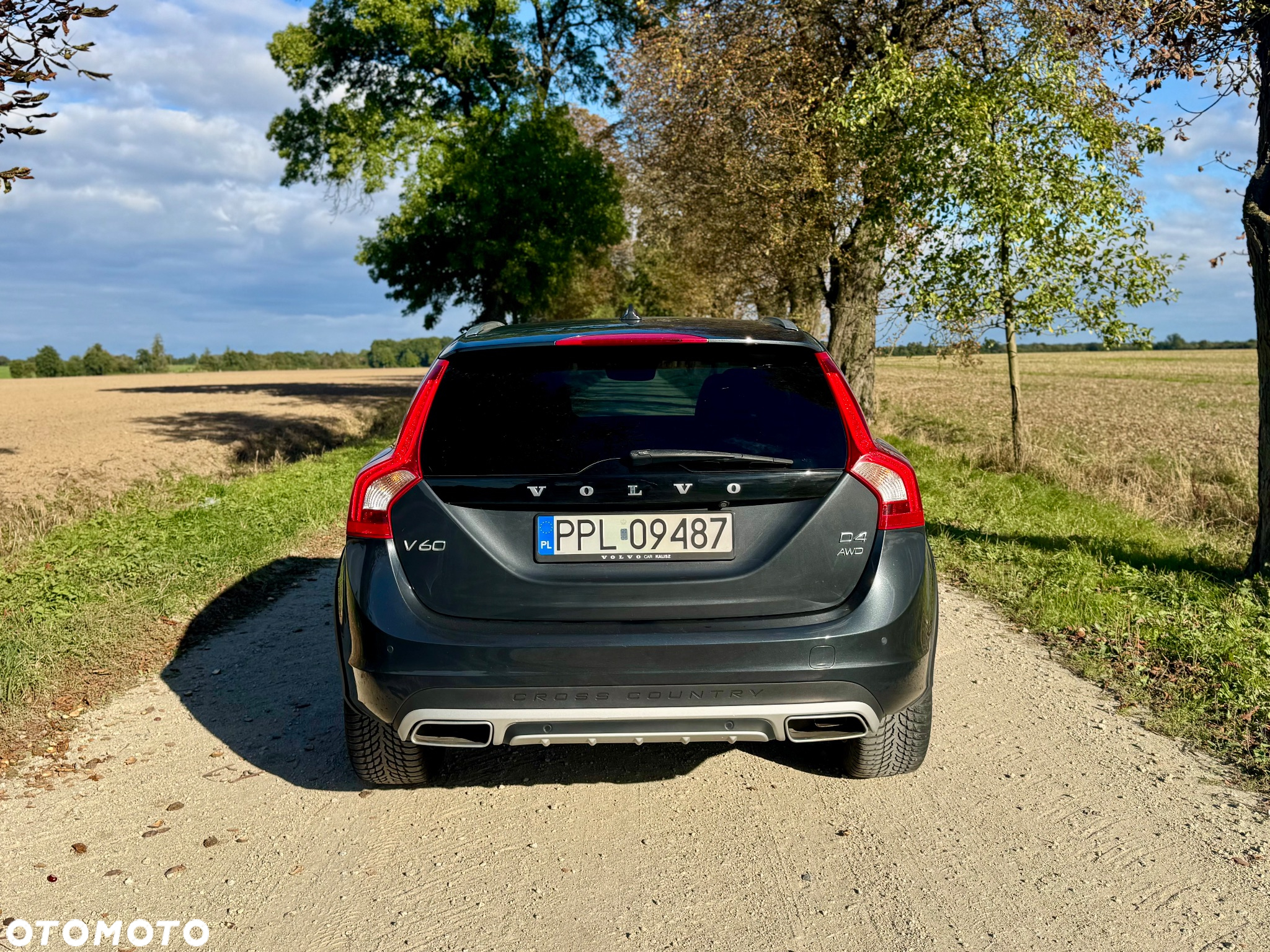 Volvo V60 Cross Country D4 AWD Summum - 6