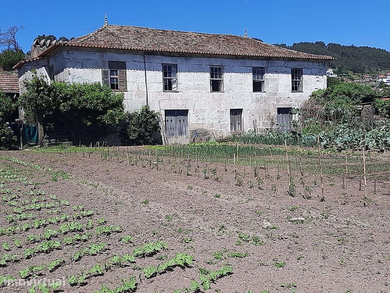 Vende Quinta 12hectares Oldrões Penafiel - Grande imagem: 2/39