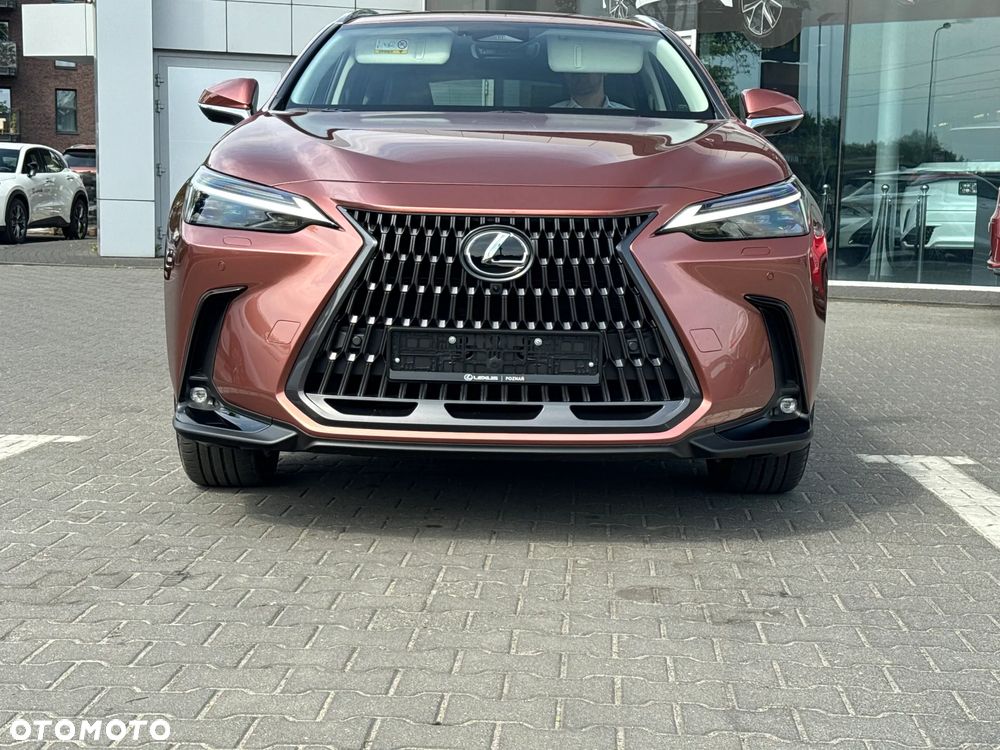 Lexus NX - 17