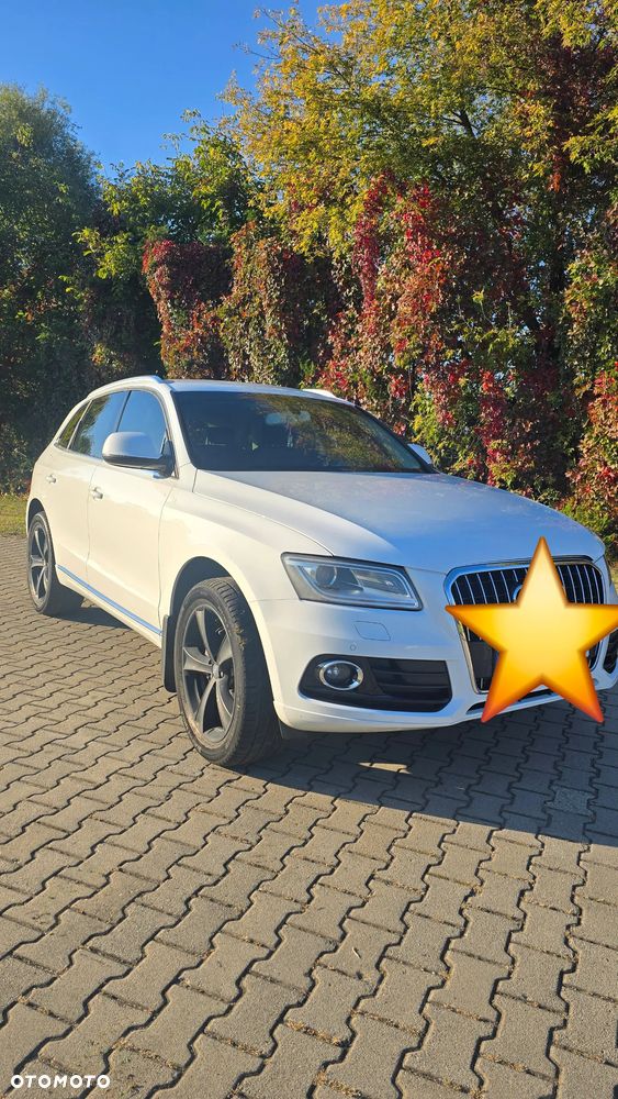 Audi Q5 2012 photo 3