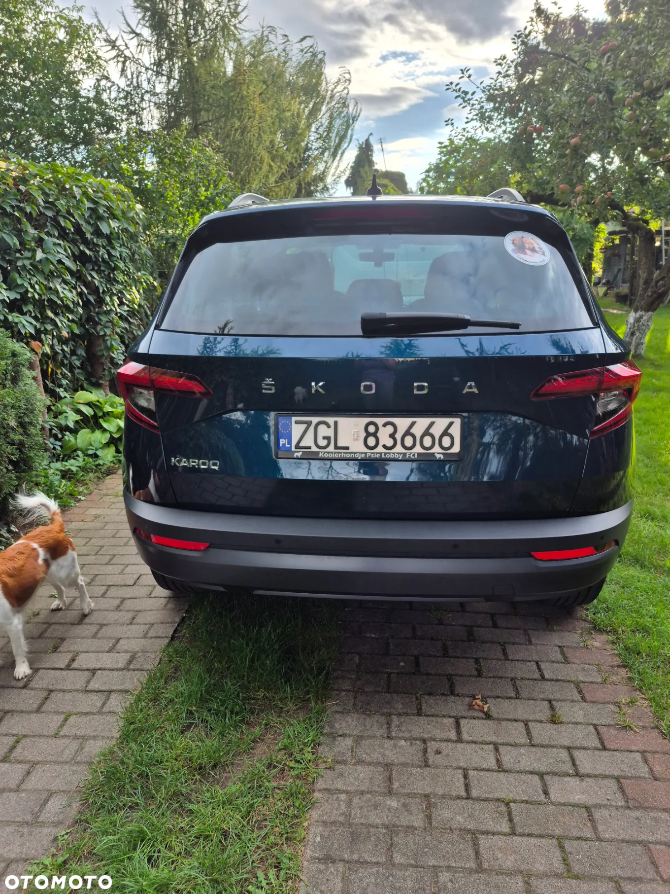 Skoda Karoq 1.0 TSI Ambition - 3