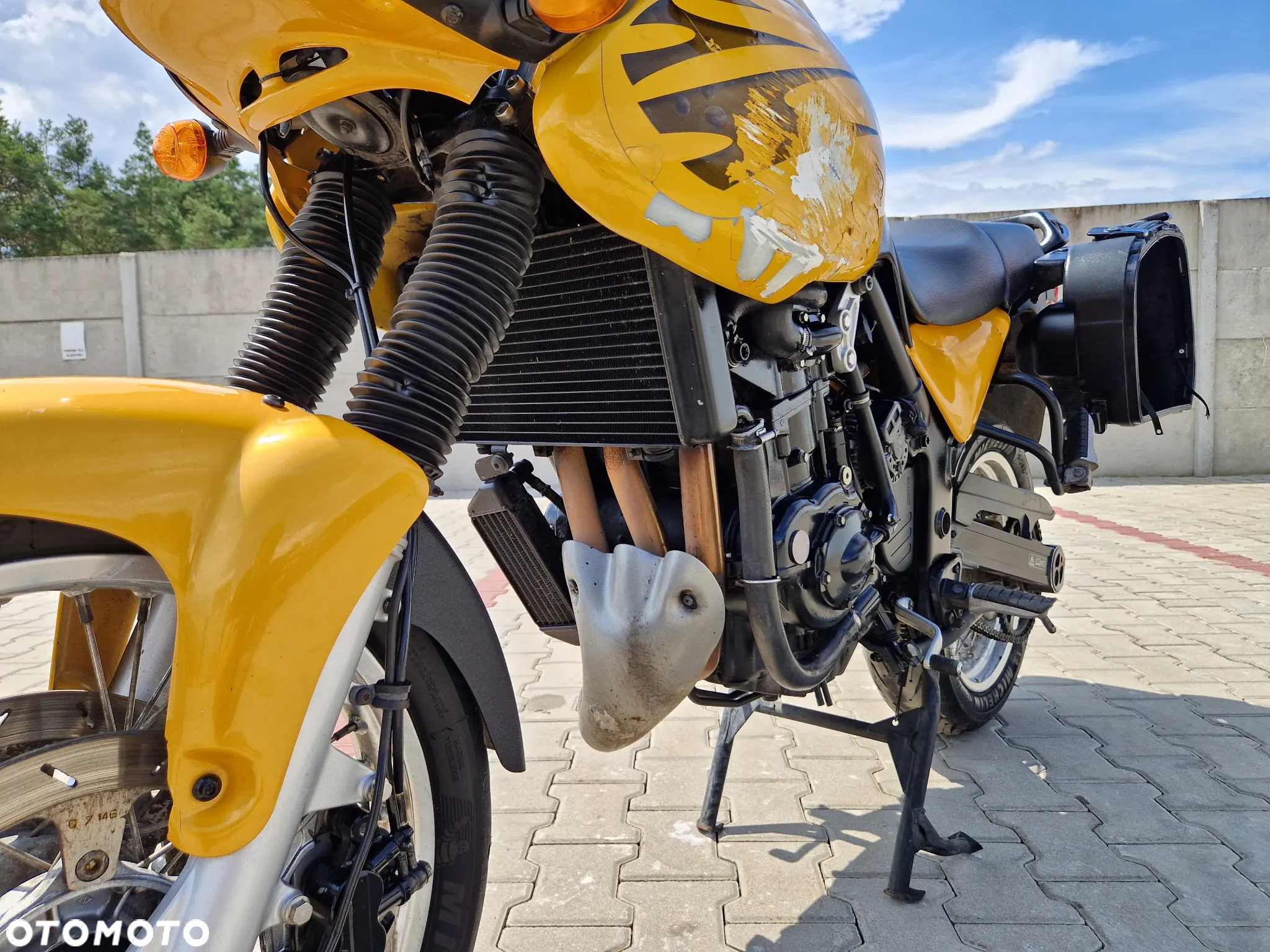 Triumph Tiger - 17