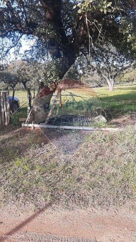 Terreno  para venda - Grande imagem: 3/25