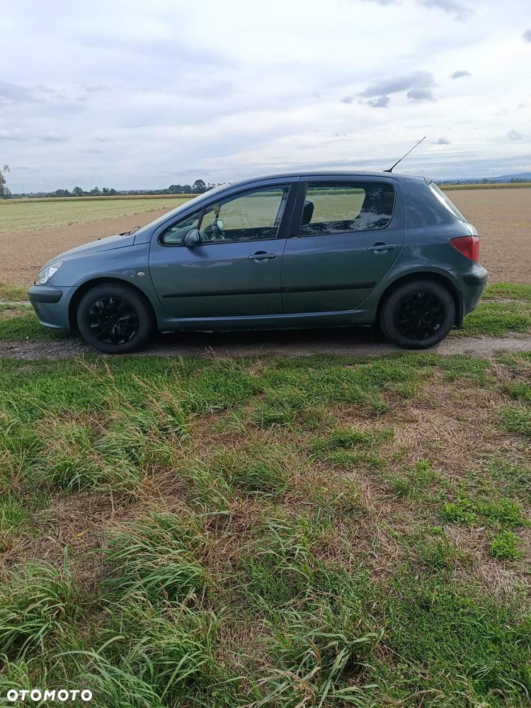 Peugeot 307 1.4 Presence - 10
